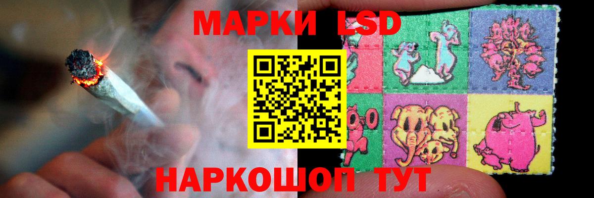 ЛСД экстази кислота  блэк спрут как зайти  Вход с VPN  Нурлат  Лсд 25 экстази ecstasy 