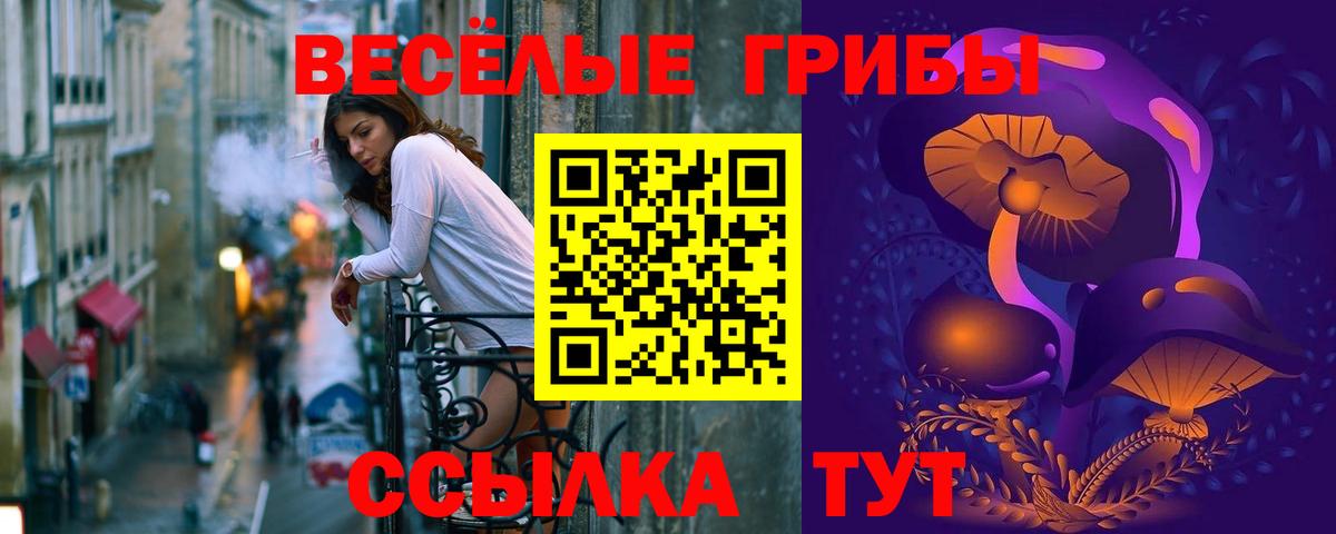 Галлюциногенные грибы прущие грибы  Вход с VPN  Нурлат 